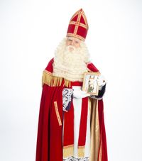 paardje sint_1